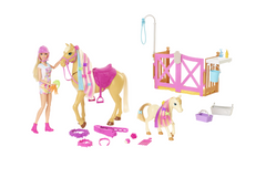 Set de joaca Barbie - Groom and care, Caluti si accesorii