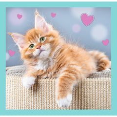 PUZZLE TREFL 3IN1 PISICUTELE DRAGALASE