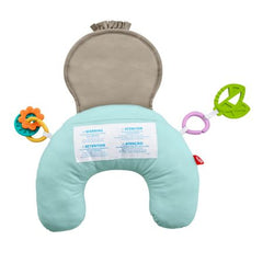 Mattel Fisher Price Perna Mtgrr01