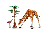 LEGO® Creator 3 in 1 - Animale salbatice din safari 31150, 780 piese