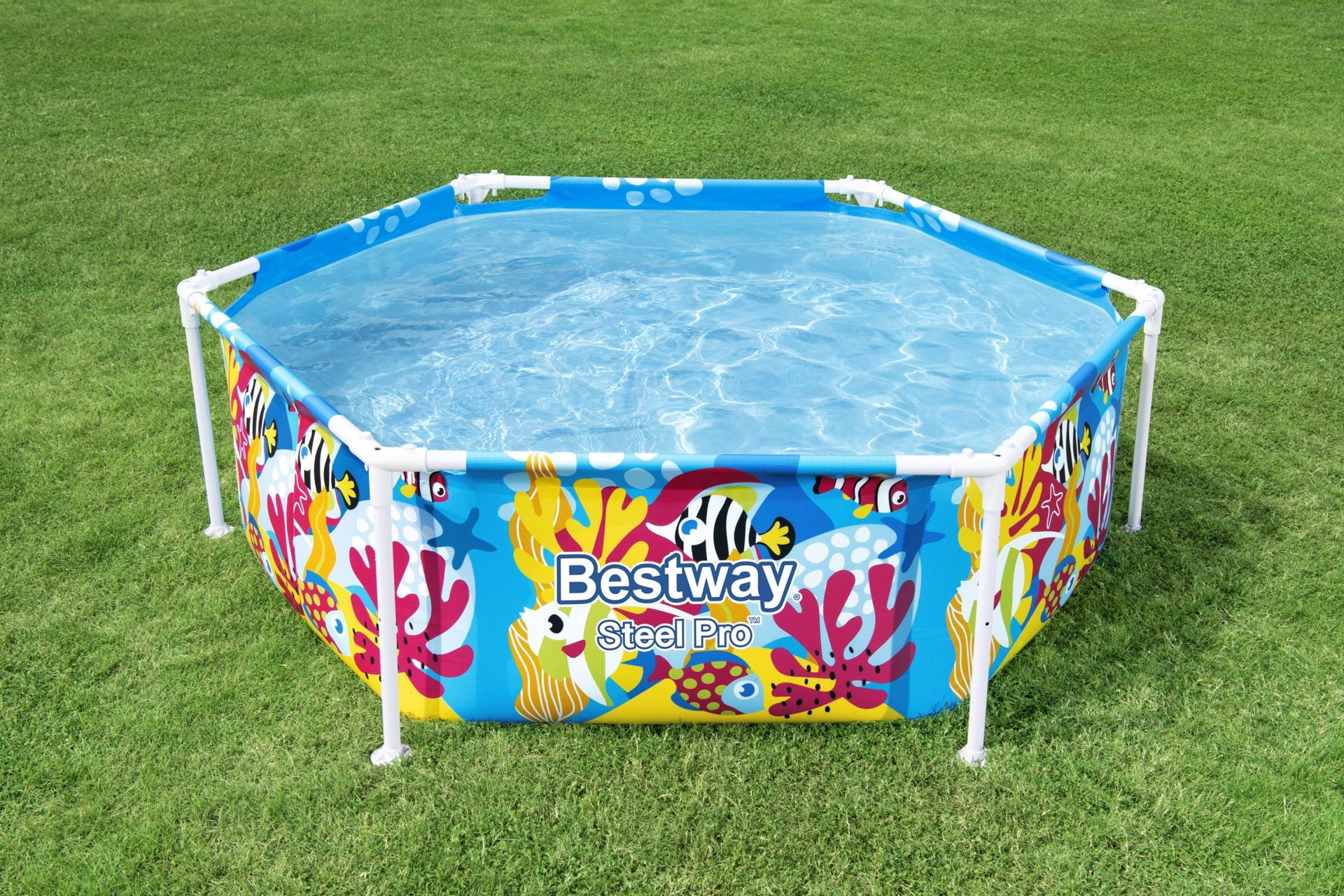 Piscina  Bestway® Steel Pro™ cu acoperis „Splash-in-Shade”, 183 x 51 cm, 5618T