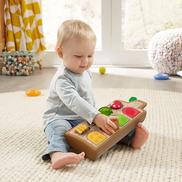 Set de joaca, Fisher-Price Animale colorate, GJW24