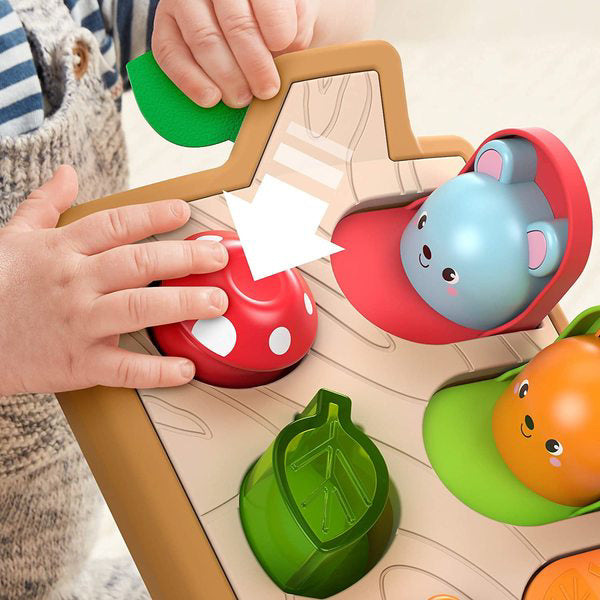Set de joaca, Fisher-Price Animale colorate, GJW24