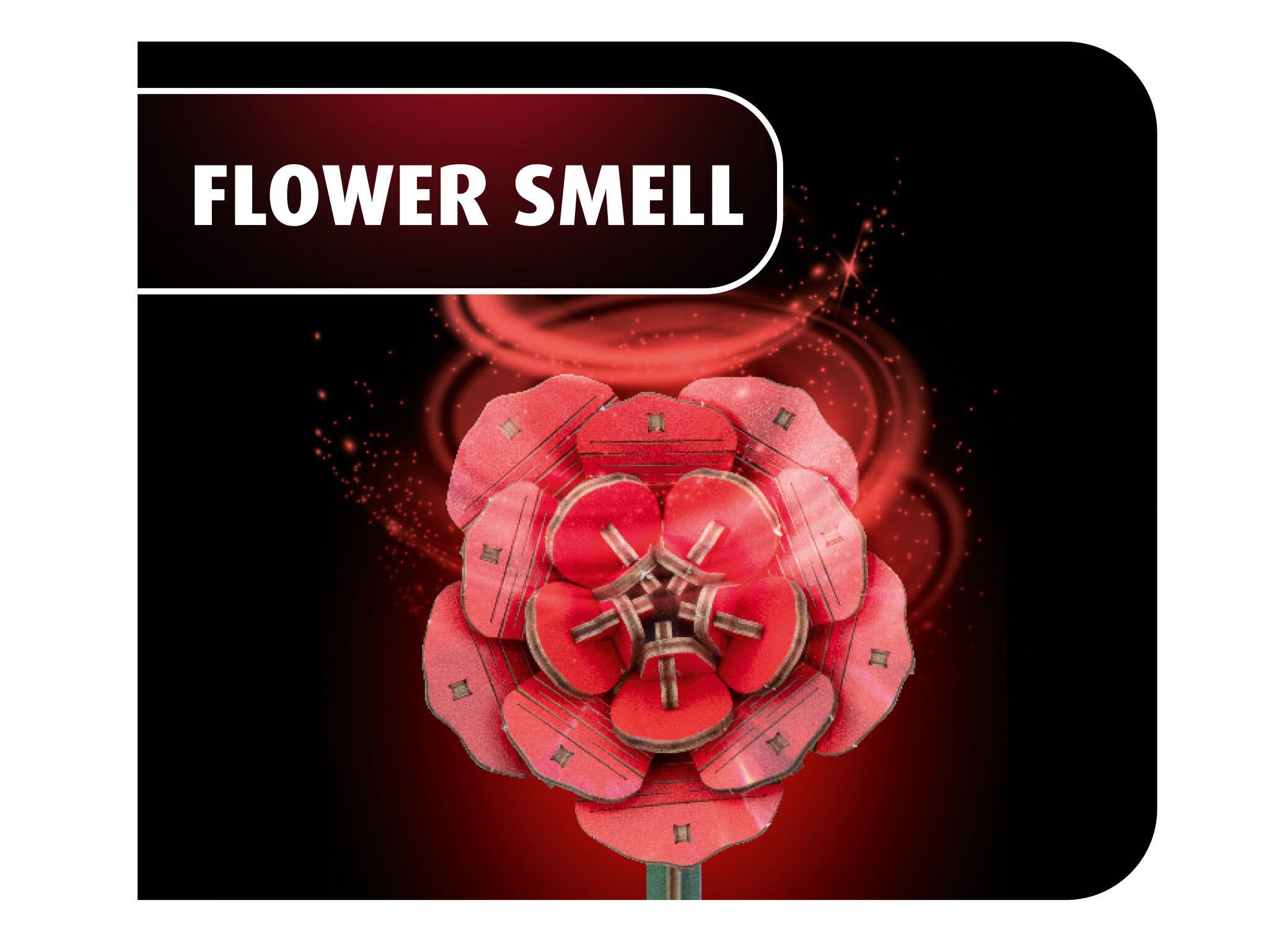 Revell Flori Din Lemn Dream Of Roses Rev00631
