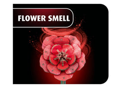 Revell Flori Din Lemn Dream Of Roses Rev00631