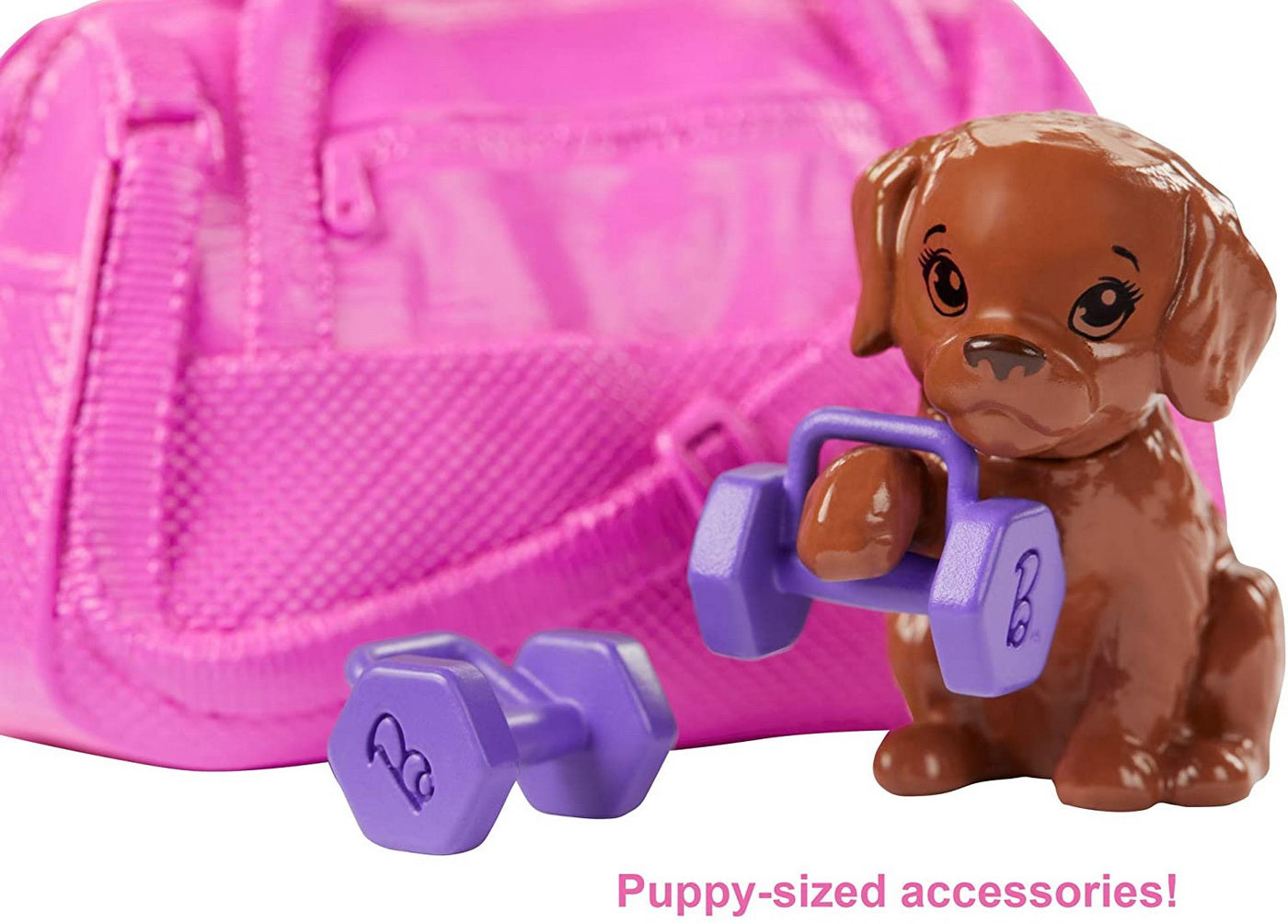 BARBIE SET DE JOACA CU ACCESORII WELLNESS LA SALA DE SPORT