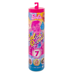 BARBIEI DESCOPERA CULOAREA - PAPUSA BARBIE LA PETRECERE