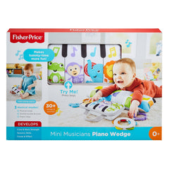 FISHER PRICE SALTELUTA DE JOACA PIAN