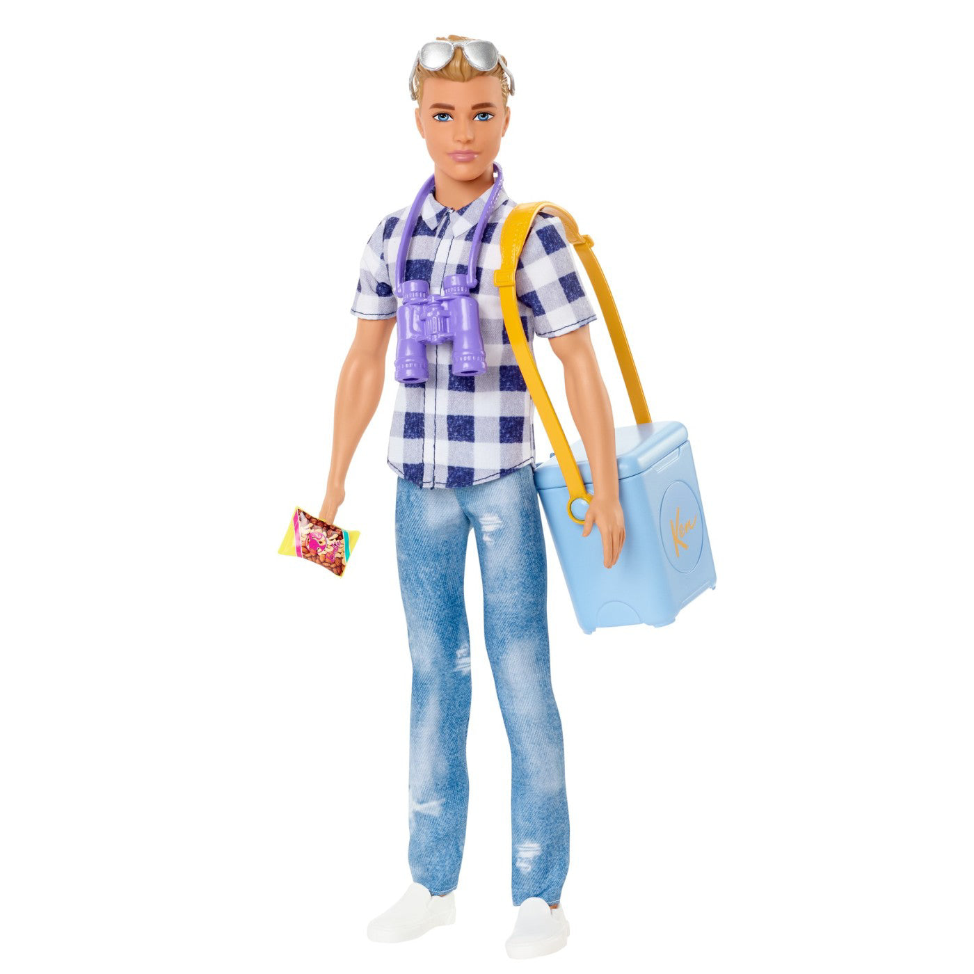 BARBIE PAPUSA KEN LA PICNIC