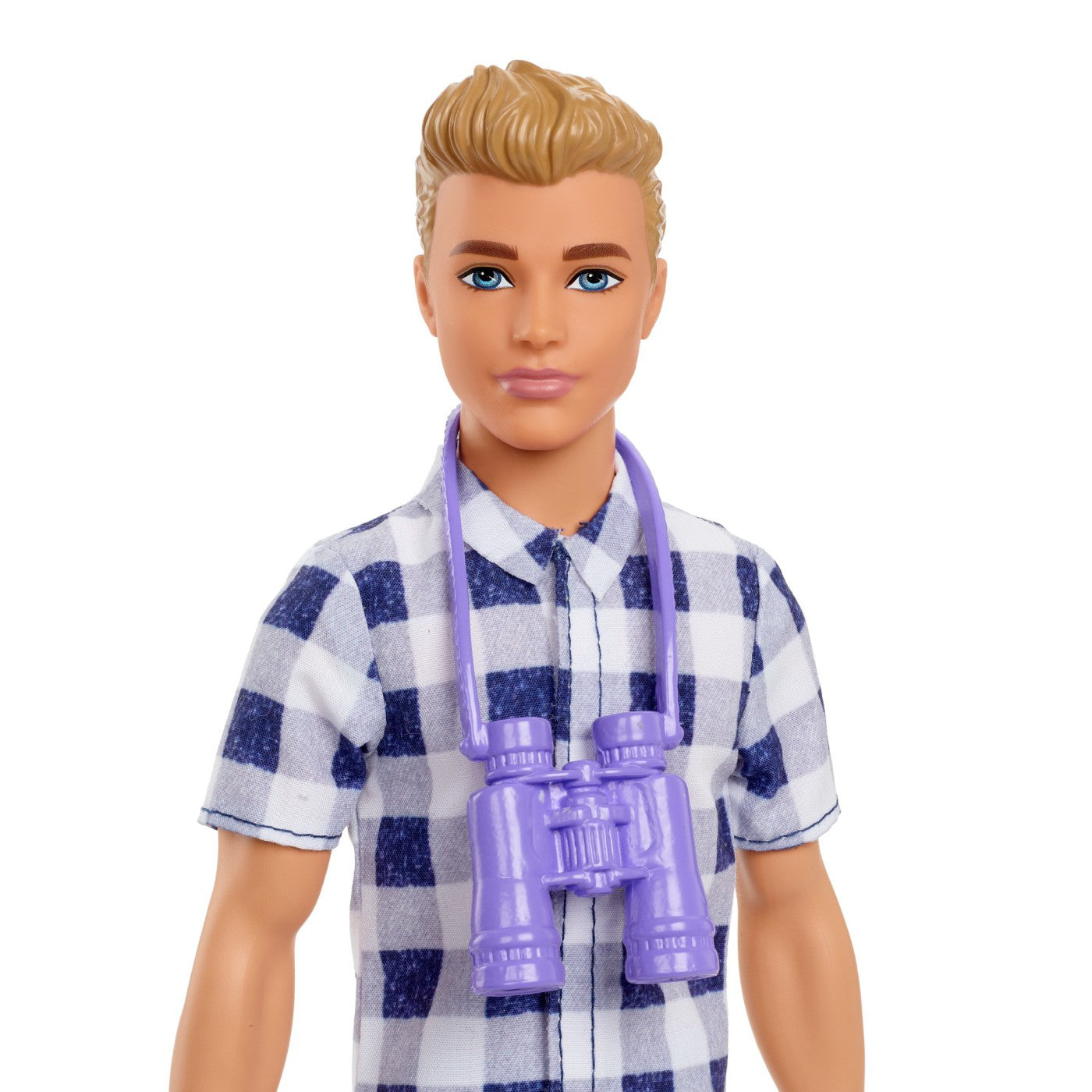 BARBIE PAPUSA KEN LA PICNIC