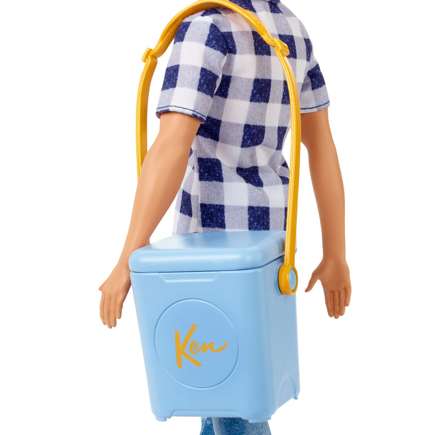 BARBIE PAPUSA KEN LA PICNIC