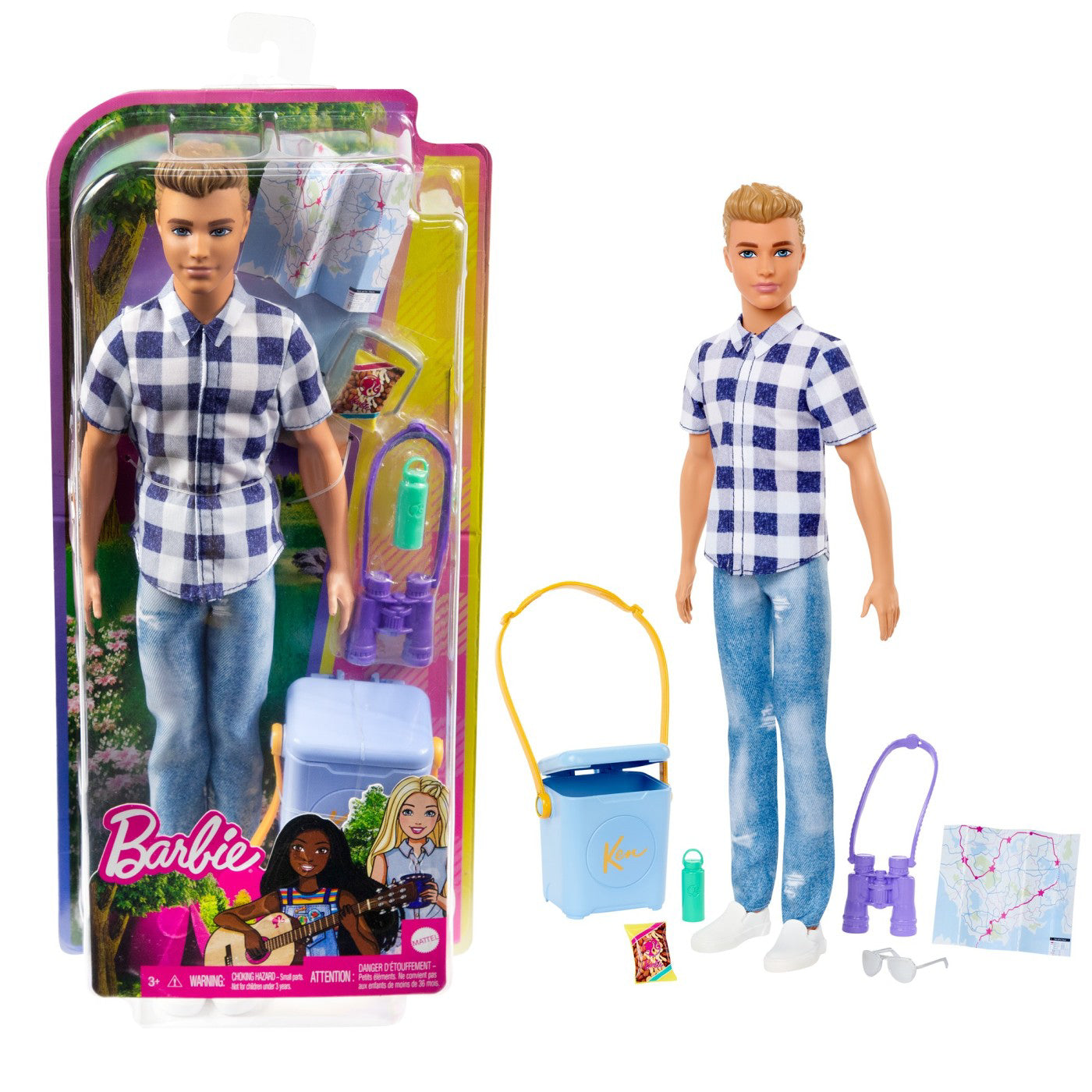 BARBIE PAPUSA KEN LA PICNIC