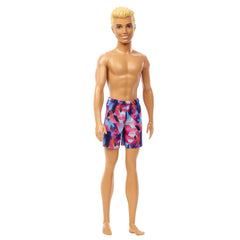 BARBIE PAPUSA KEN LA PLAJA