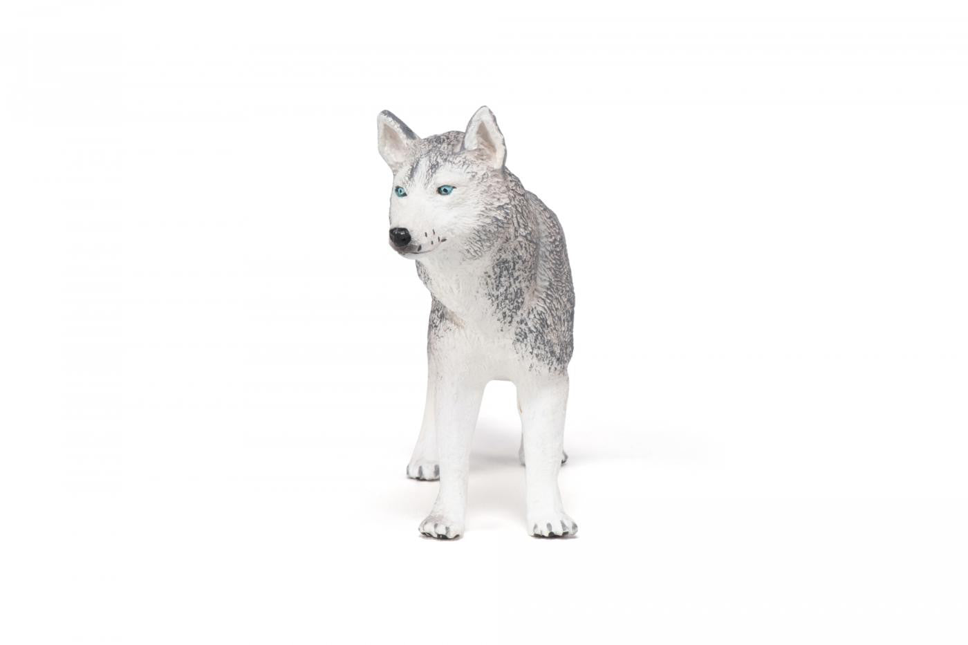 PAPO FIGURINA HUSKY SIBERIAN