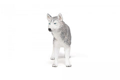 PAPO FIGURINA HUSKY SIBERIAN