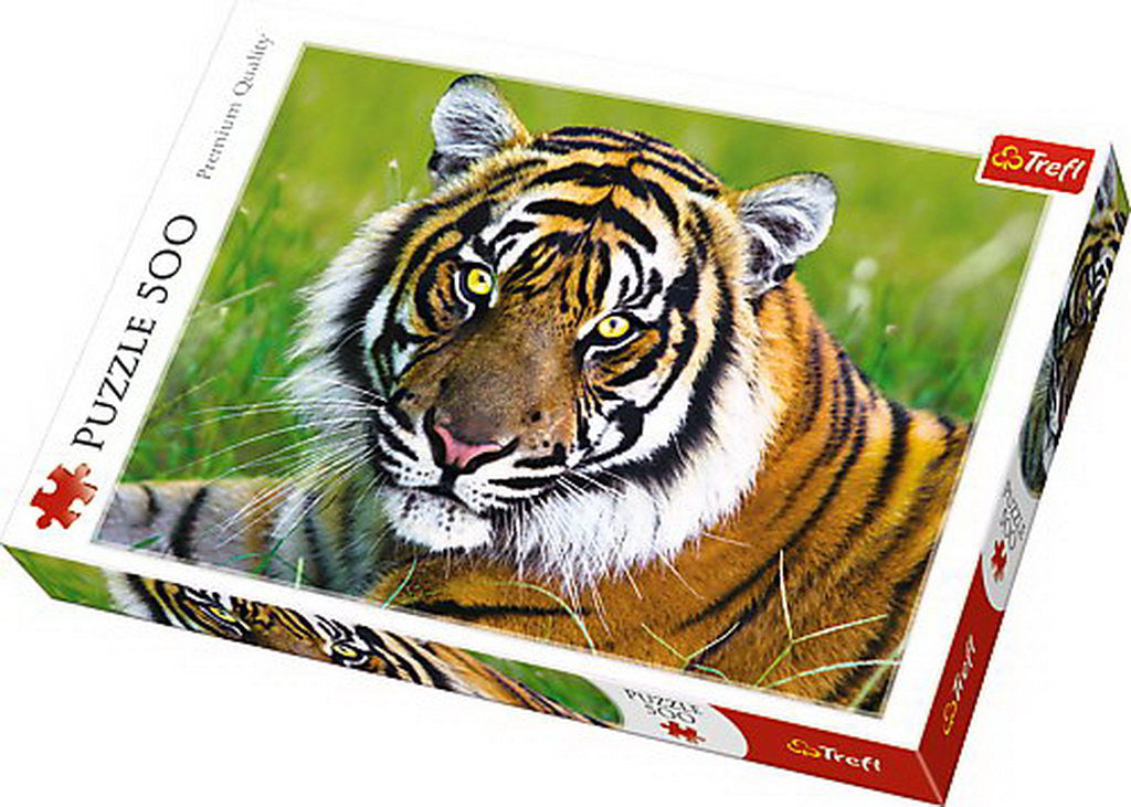 PUZZLE TREFL 500 TIGRU
