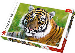 PUZZLE TREFL 500 TIGRU