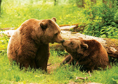 PUZZLE TREFL 500 SI 500 PEISAJ DIN NATURA