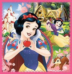 PUZZLE TREFL 3IN1 LUMEA MINUNATA A PRINTESELOR