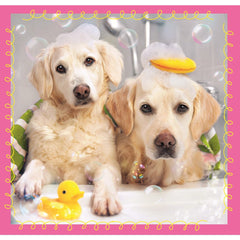 PUZZLE TREFL 3IN1 CATELUSI LA BAITA