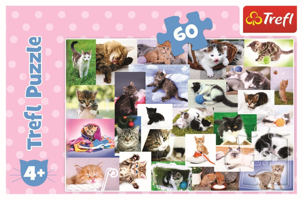 PUZZLE TREFL 60 O LUME A PISICILOR