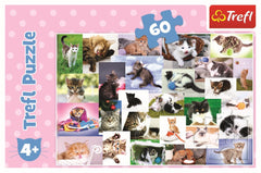 PUZZLE TREFL 60 O LUME A PISICILOR