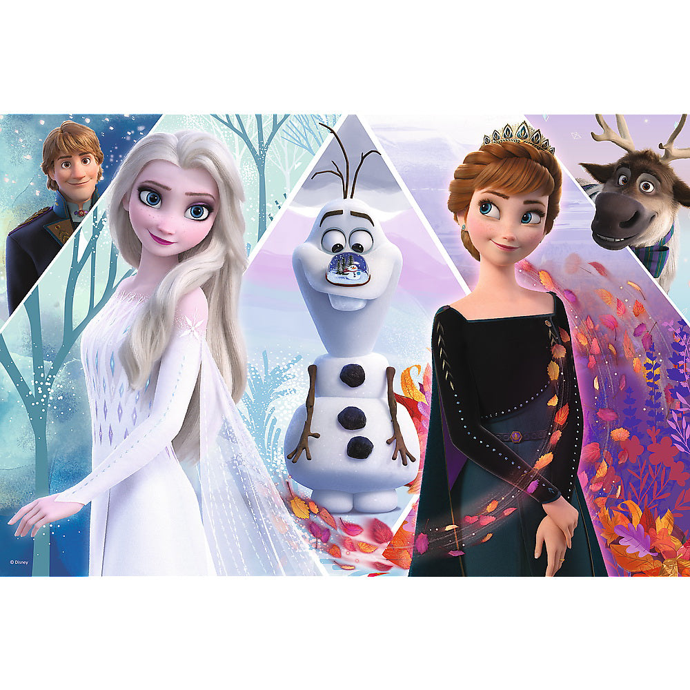 PUZZLE TREFL 100 FROZEN TARAMUL INCANTATOR