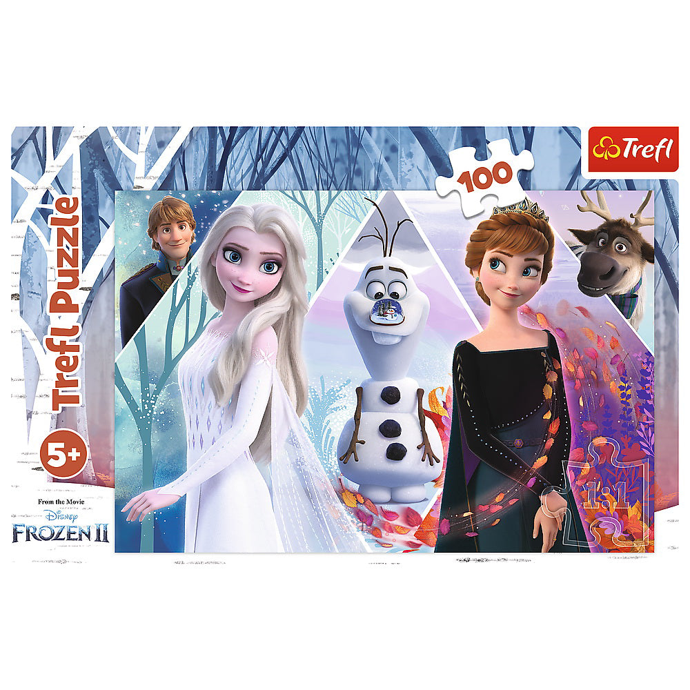 PUZZLE TREFL 100 FROZEN TARAMUL INCANTATOR