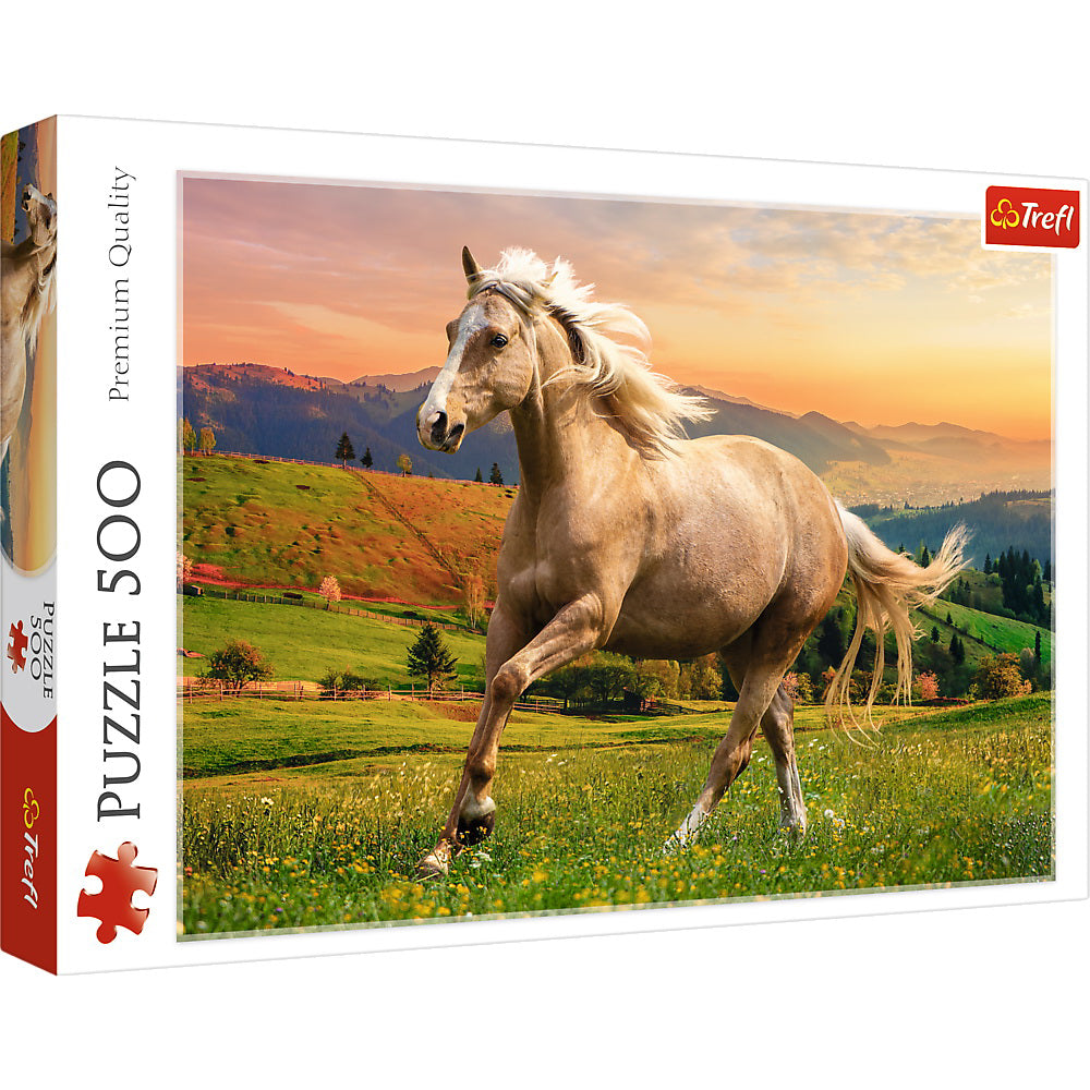 PUZZLE TREFL 500 CAL LA GALOP IN ASFINTIT