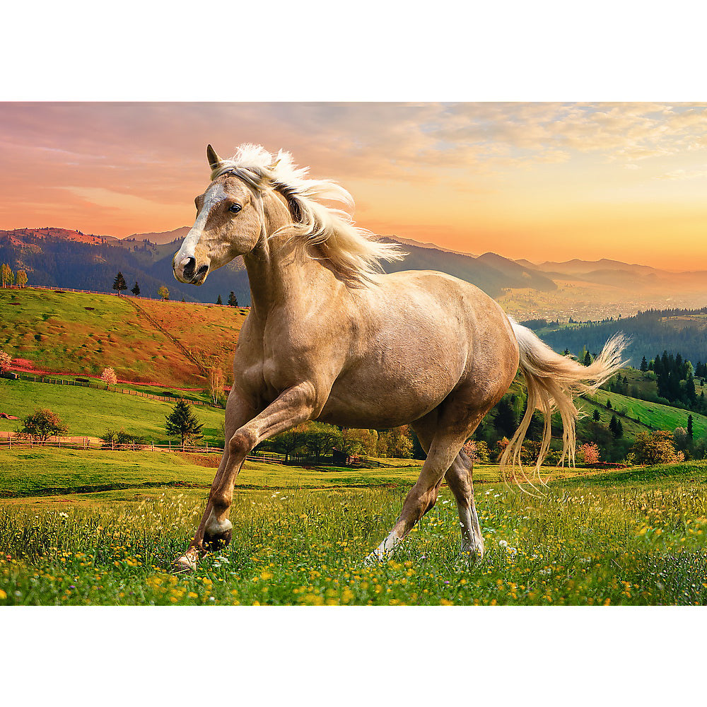 PUZZLE TREFL 500 CAL LA GALOP IN ASFINTIT