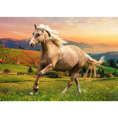 PUZZLE TREFL 500 CAL LA GALOP IN ASFINTIT