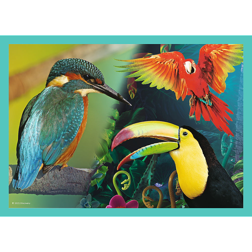 PUZZLE TREFL 4IN1 ANIMAL PLANET - MISTERIOASA LUMEA A ANIMALELOR