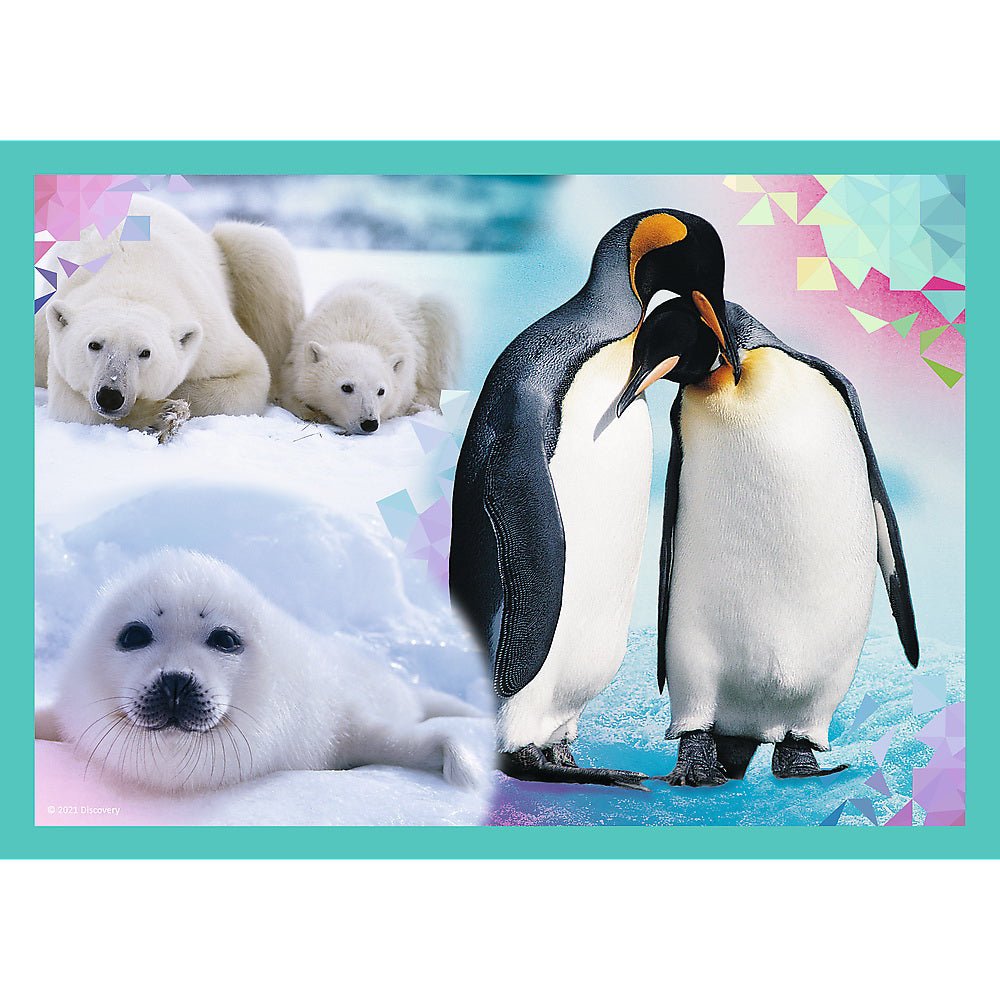 PUZZLE TREFL 4IN1 ANIMAL PLANET - MISTERIOASA LUMEA A ANIMALELOR