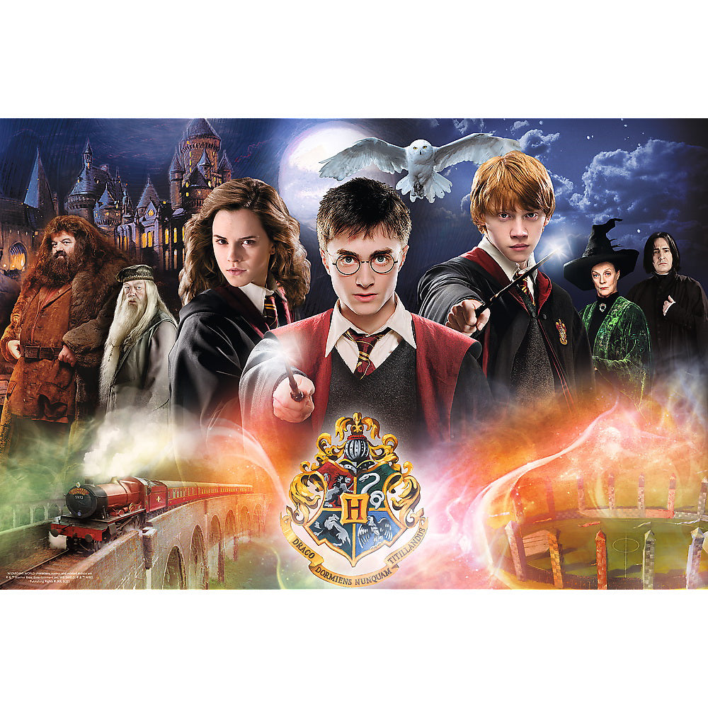 PUZZLE TREFL 300 SECRETUL LUI HARRY POTTER