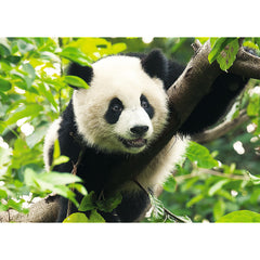 PUZZLE TREFL 500 PANDA URIAS