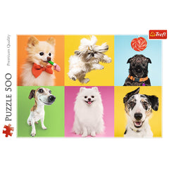 PUZZLE TREFL 500 CATELUSI