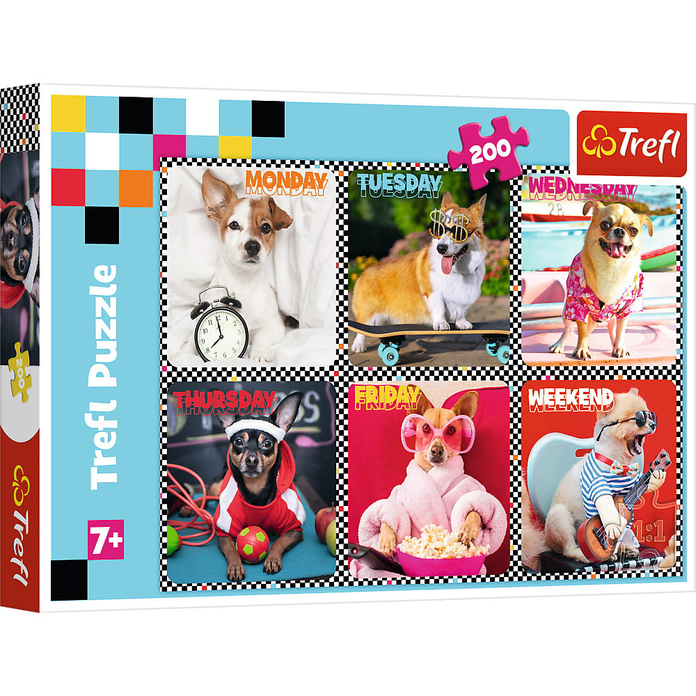 PUZZLE TREFL 200 CATEII FERICITI