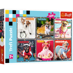 PUZZLE TREFL 200 CATEII FERICITI