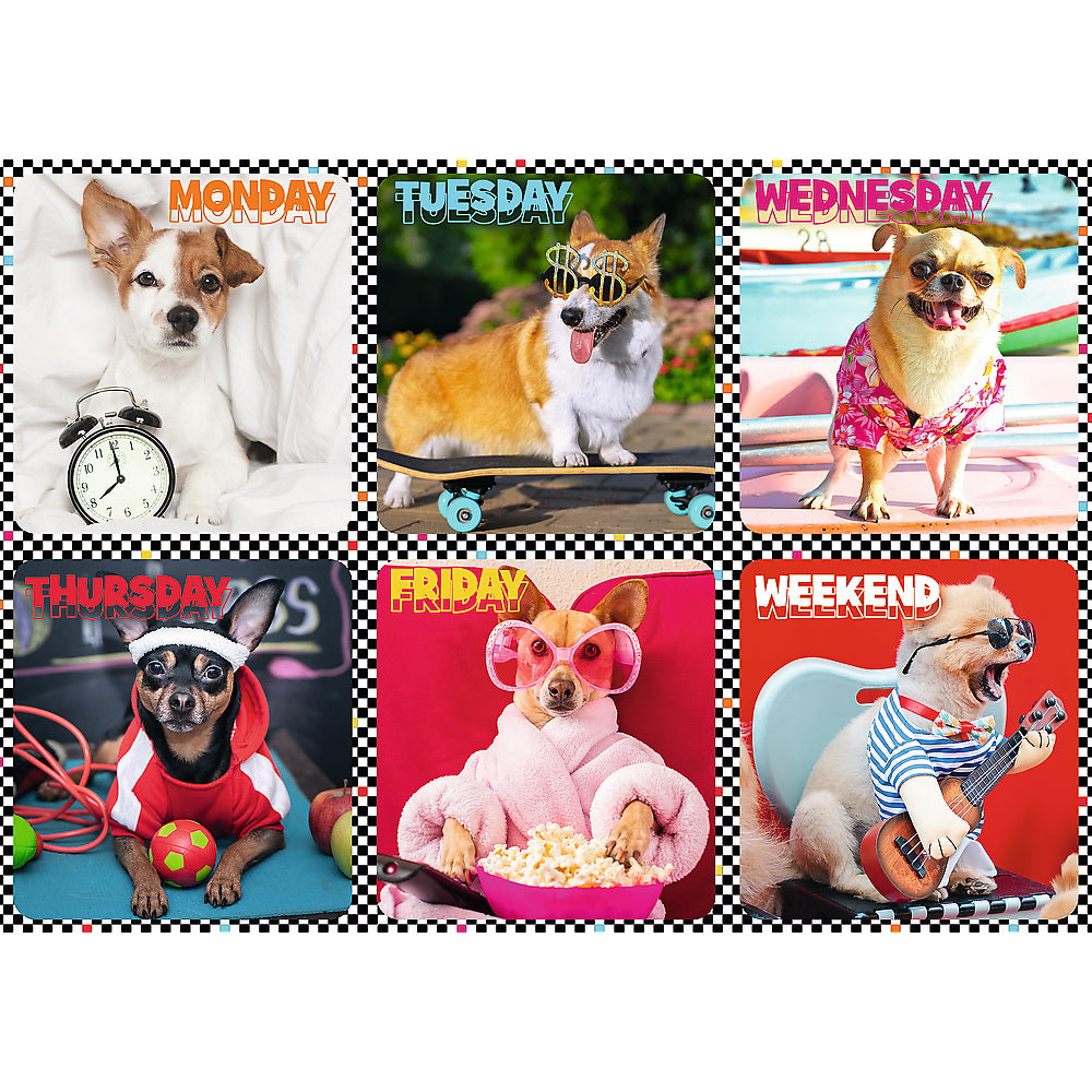 PUZZLE TREFL 200 CATEII FERICITI