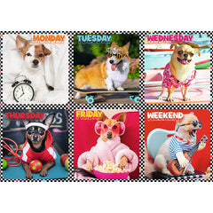 PUZZLE TREFL 200 CATEII FERICITI