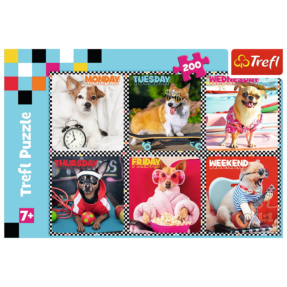 PUZZLE TREFL 200 CATEII FERICITI