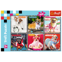 PUZZLE TREFL 200 CATEII FERICITI