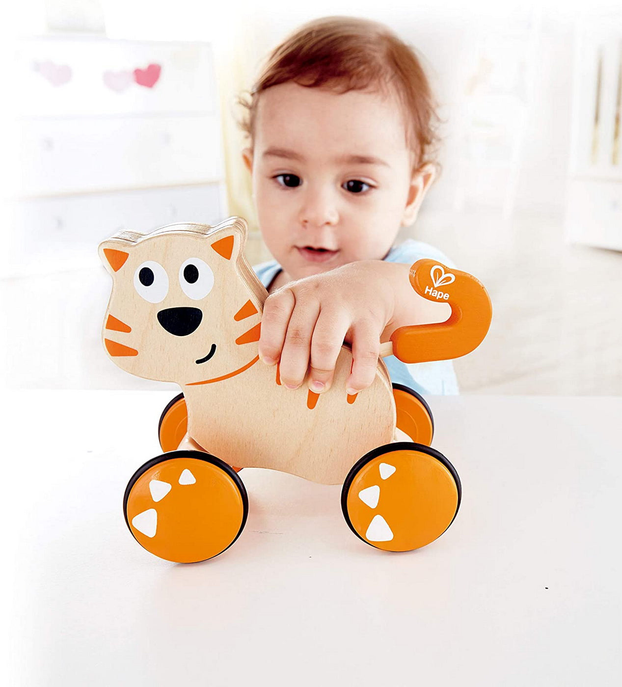 HAPE JUCARIE DE TRAGERE - PISICA DANTE