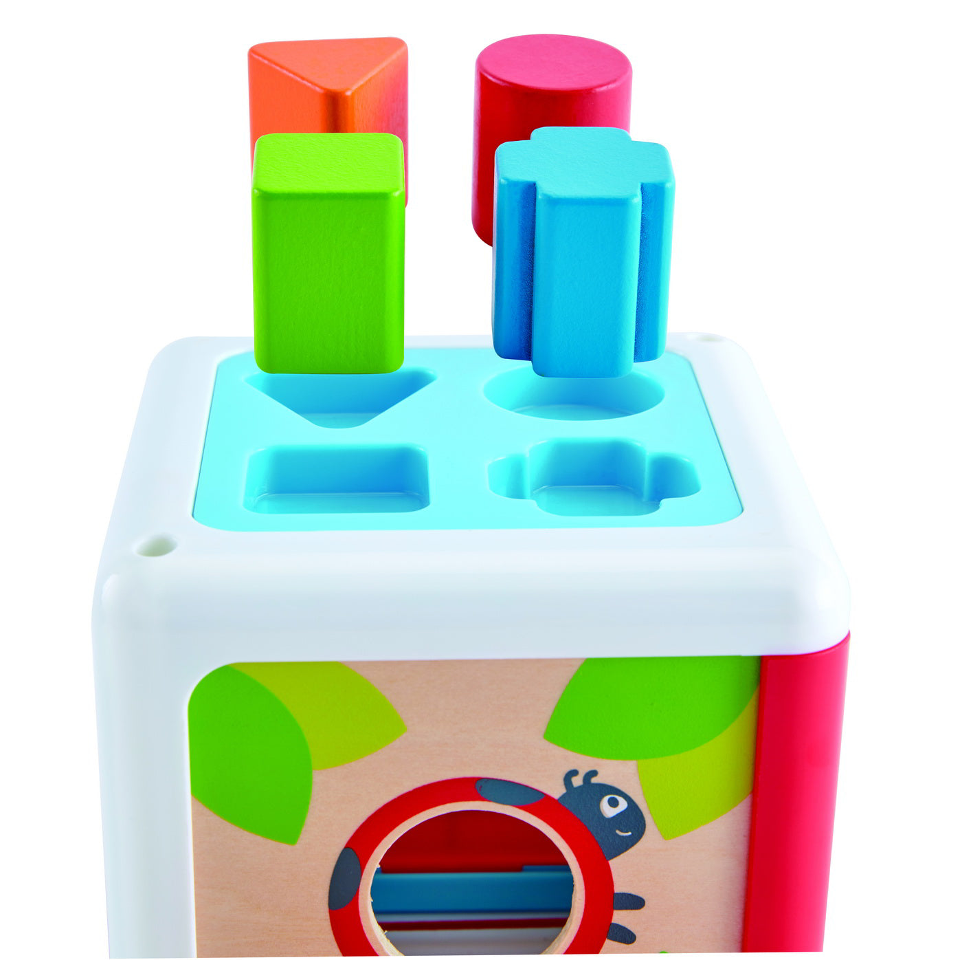 HAPE CUTIUTA SORTARE FORME