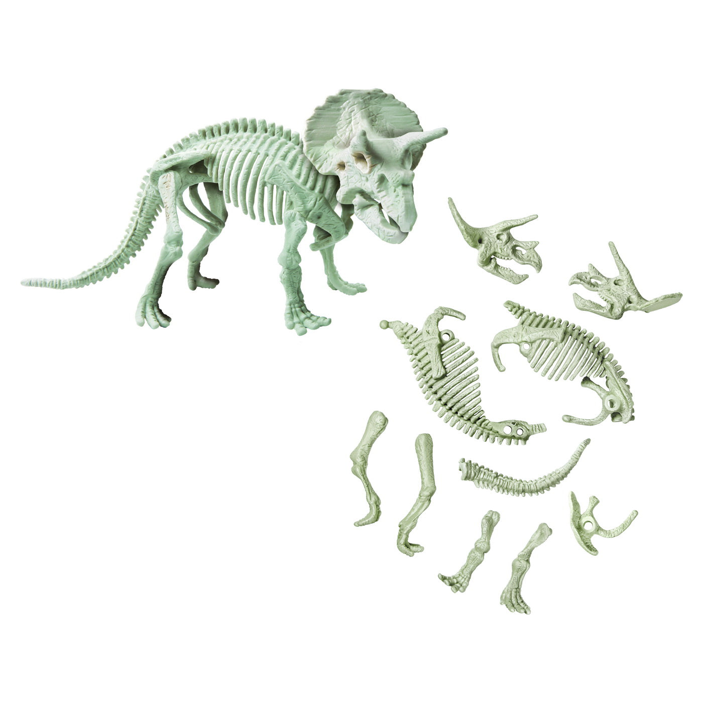 DESCOPERA DINOZAURUL TRICERATOPS