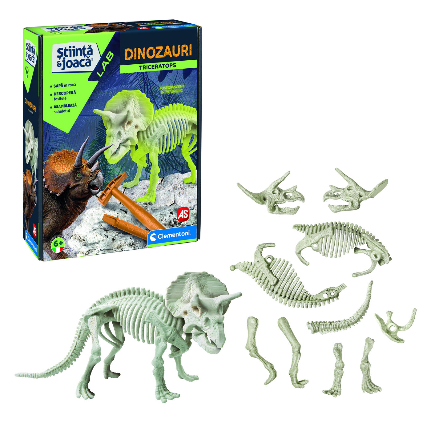 DESCOPERA DINOZAURUL TRICERATOPS