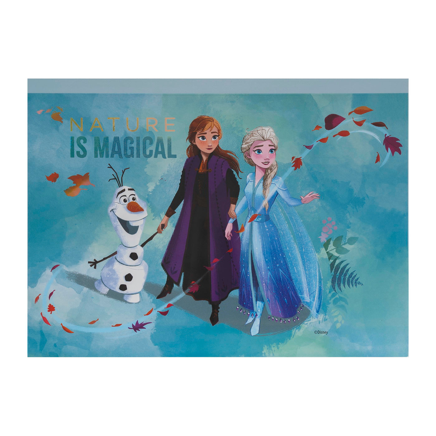 SET DESEN GENTUTA DE CREATIE FROZEN