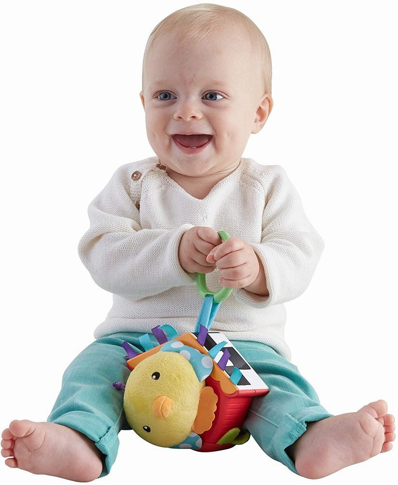 FISHER PRICE VRABIUTA CANTAREATA