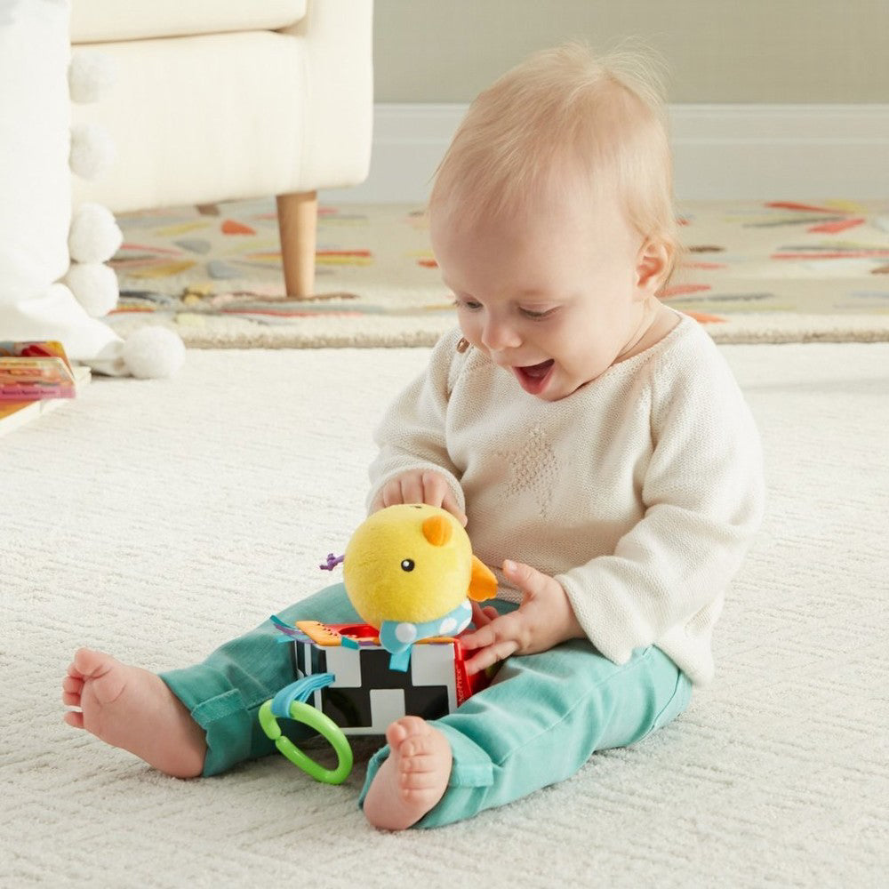 FISHER PRICE VRABIUTA CANTAREATA