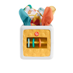 FISHER PRICE CUB CU ACTIVITATI